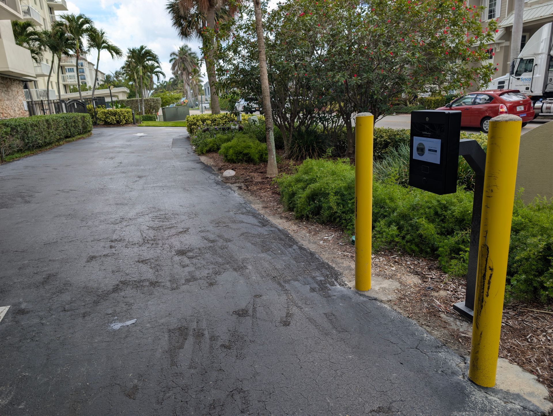 Wet residential driveway with yellow bollards and a black mailbox beside bushes and palm trees