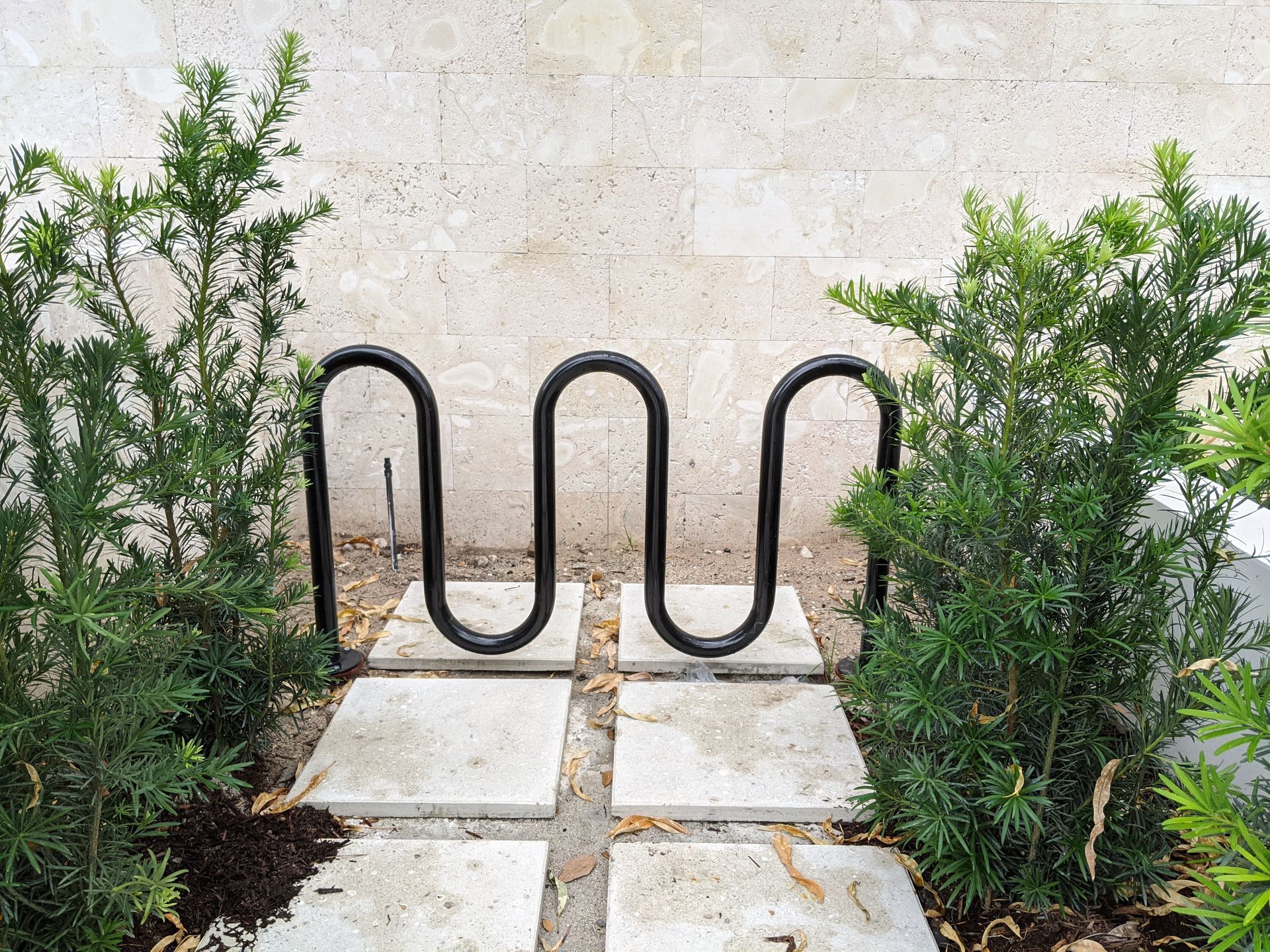 Black metal bike rack between green shrubs on a stone path against a light wall