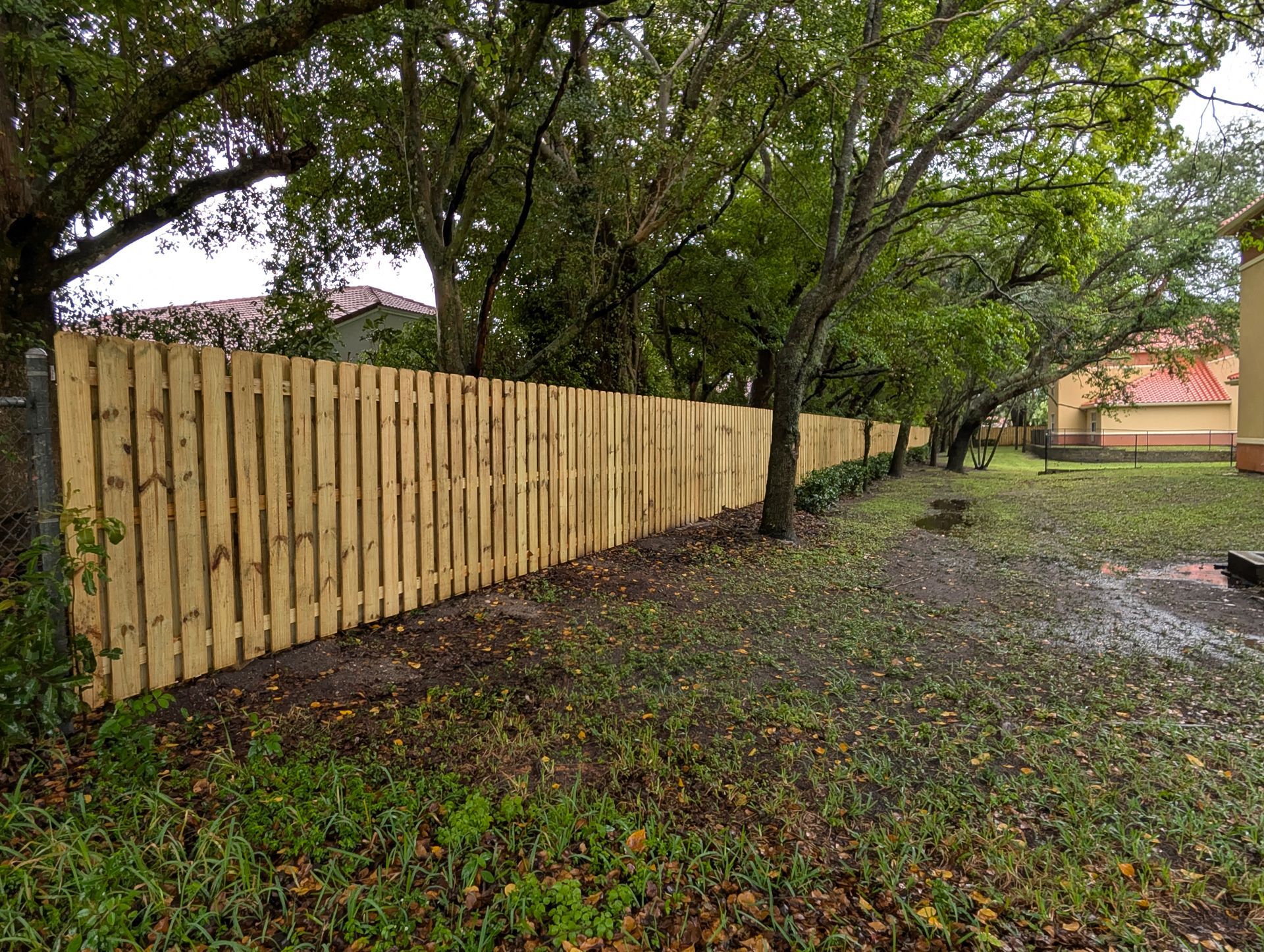 Wooden fence beside muddy, tree-lined yard with houses in the background.