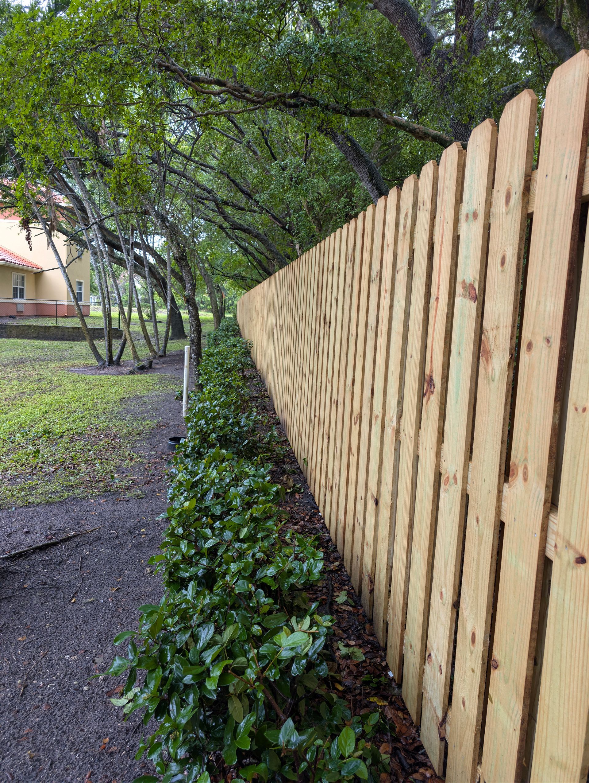Wooden fence beside a narrow path with low greenery and trees overhead in a residential yard