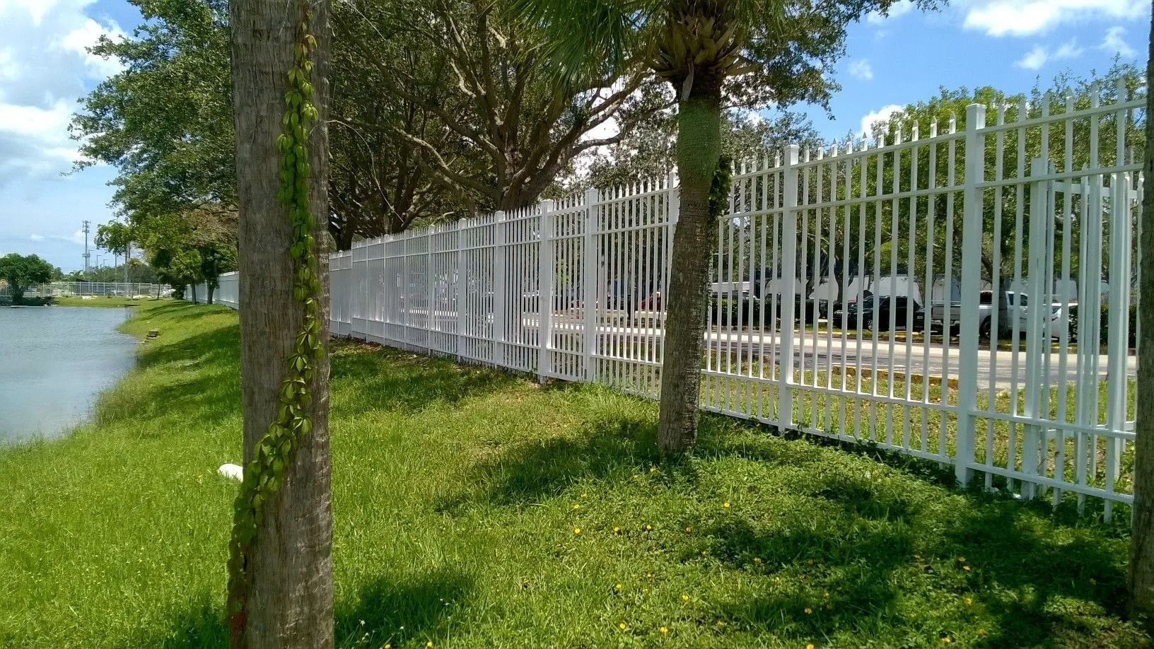 Tree-lined grassy path beside a white fence along a waterfront under a blue sky