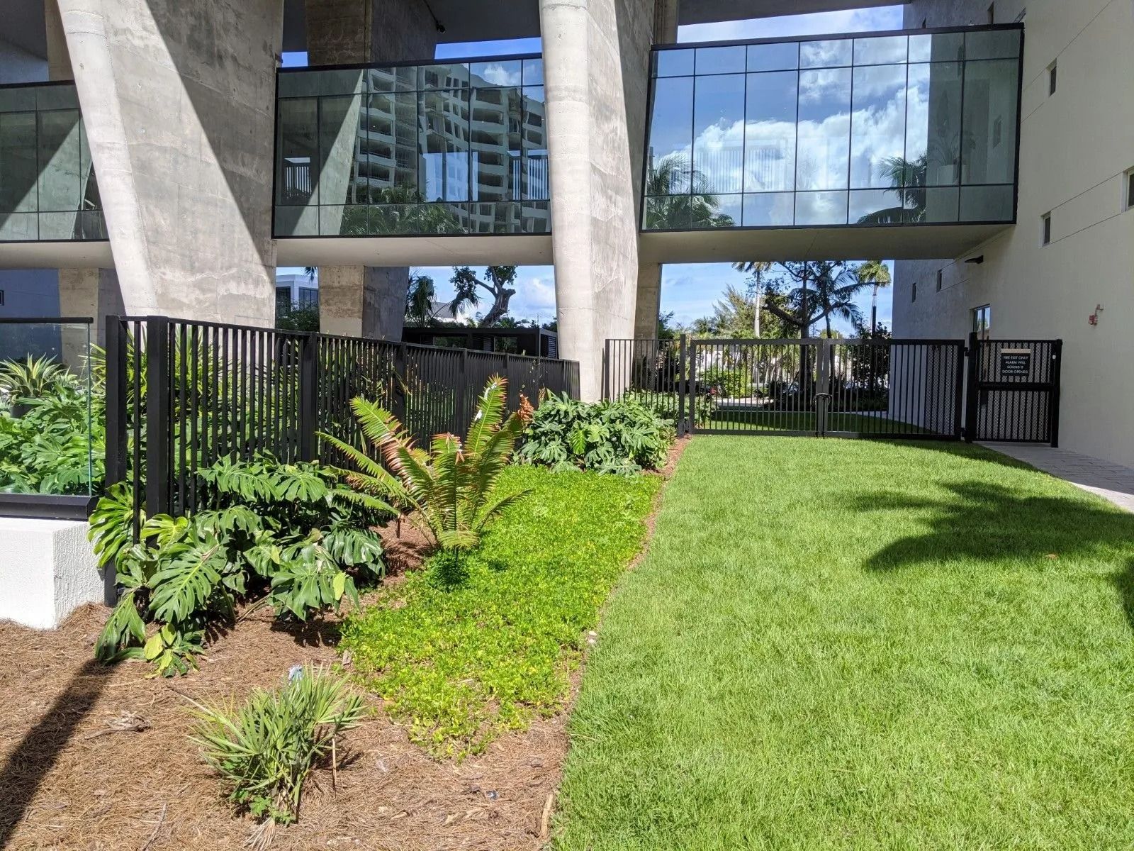 Modern office courtyard with green lawn, landscaped plants, and glass building reflections