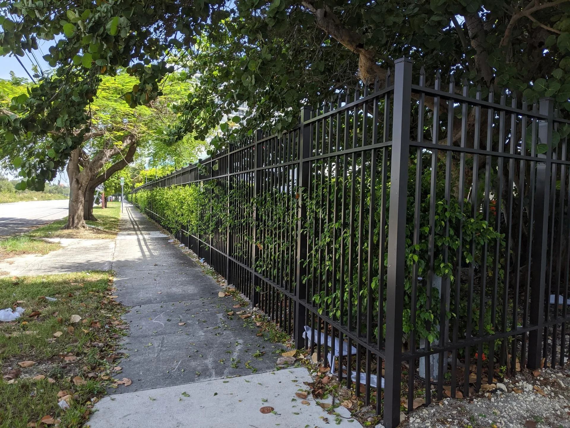 Black metal fence along a sidewalk beside trees and greenery on a sunny street
