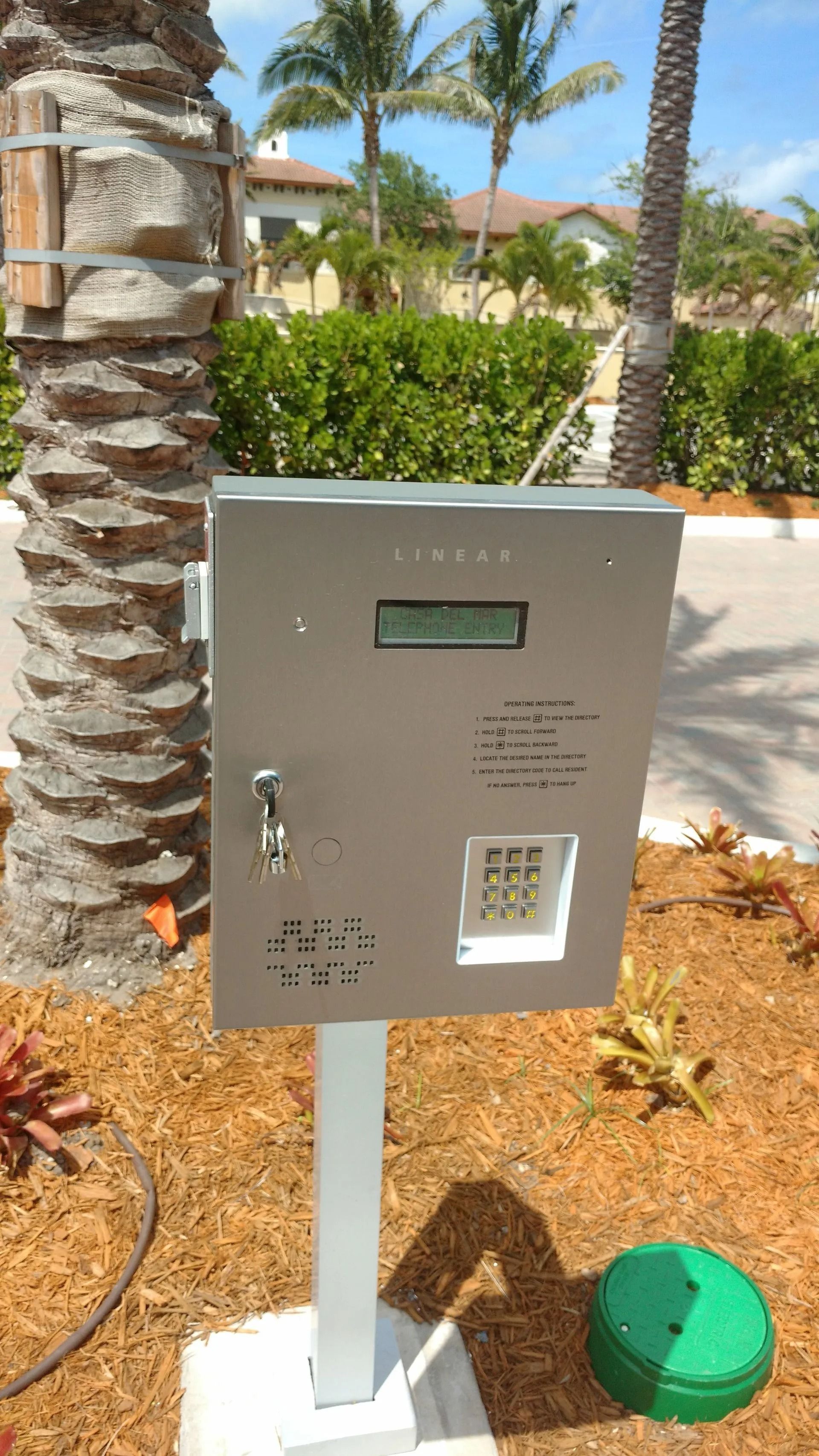 Gray utility box on a post in a sunny landscaped area with palm trees and mulch