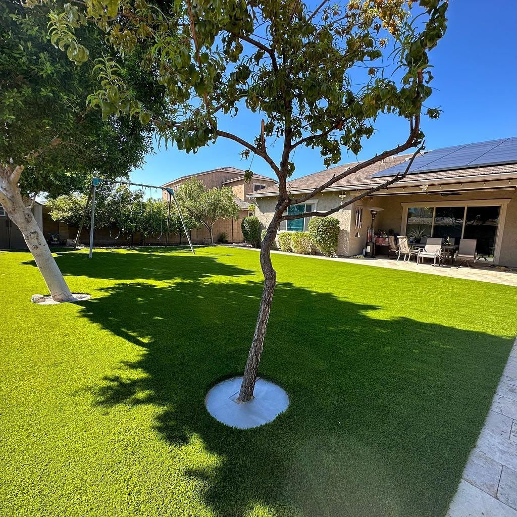 Green lawn in a sunny backyard with trees, a house, and blue sky.