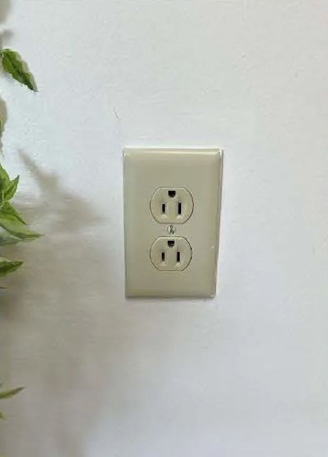 A white electrical outlet on a white wall next to a plant