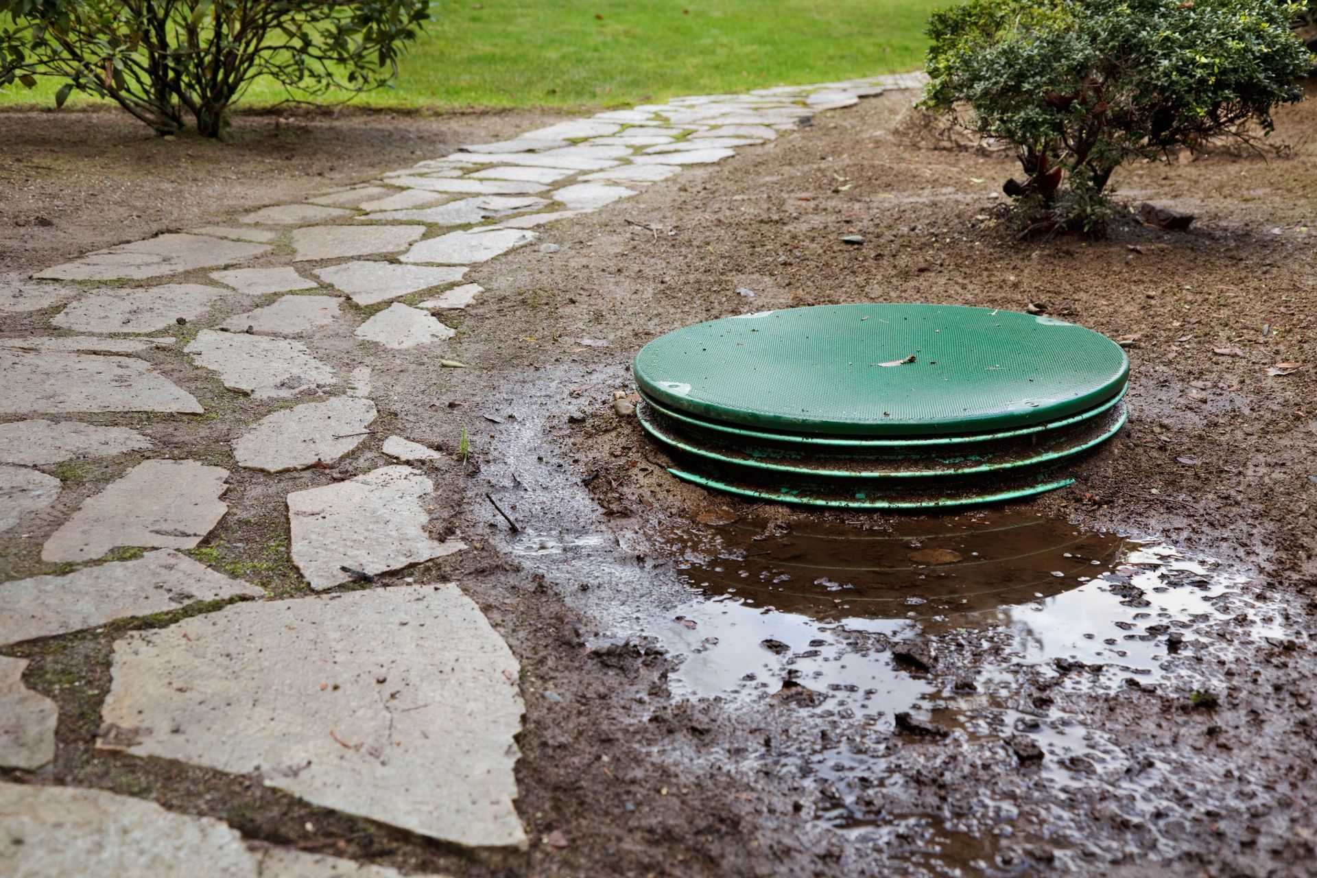 septic system service