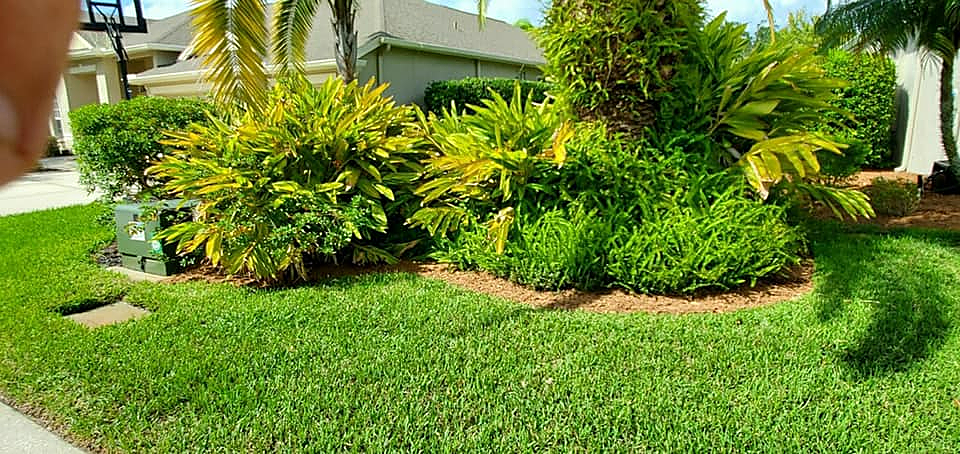 Lawn and landscaping services