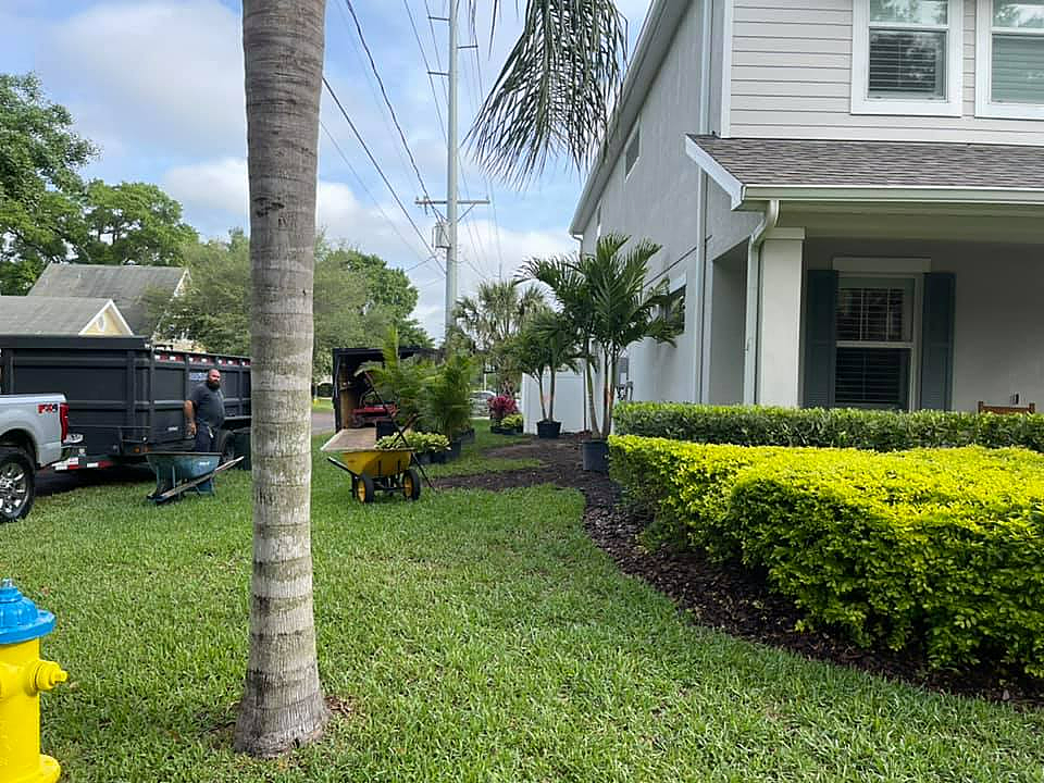 Lawn and landscaping services