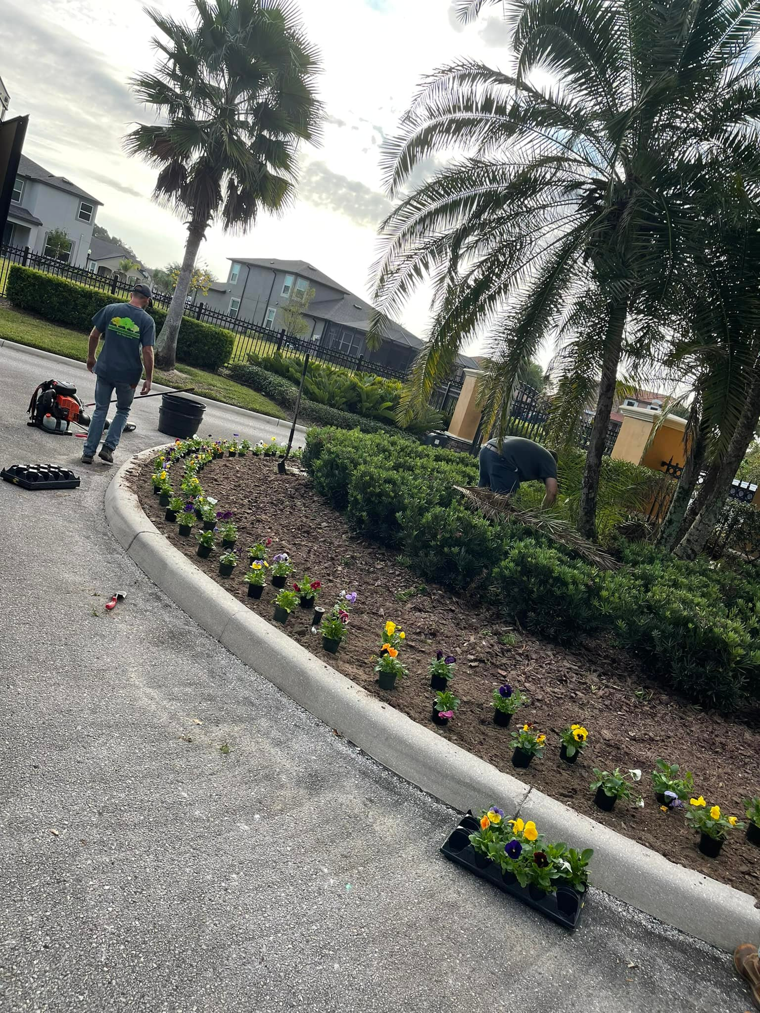 Landscaping services