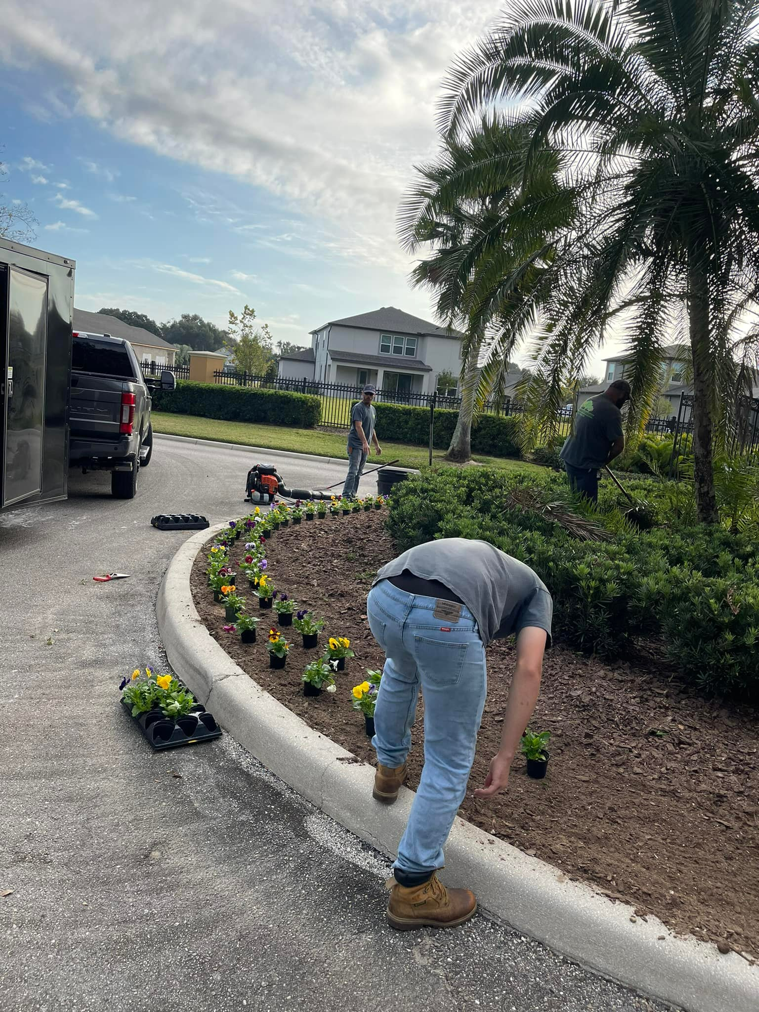 Landscaping services