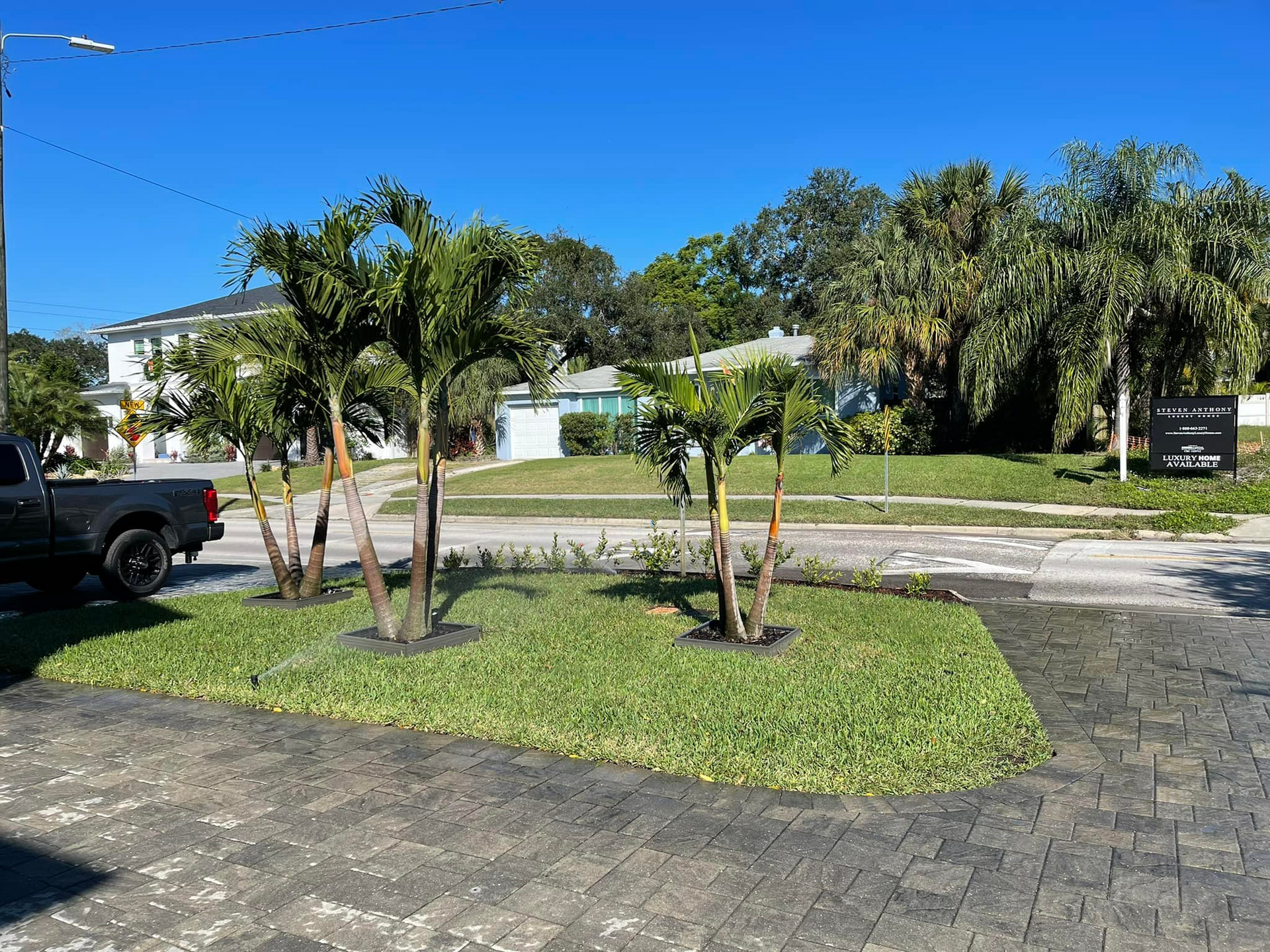 Irrigation repairs and  lawn services