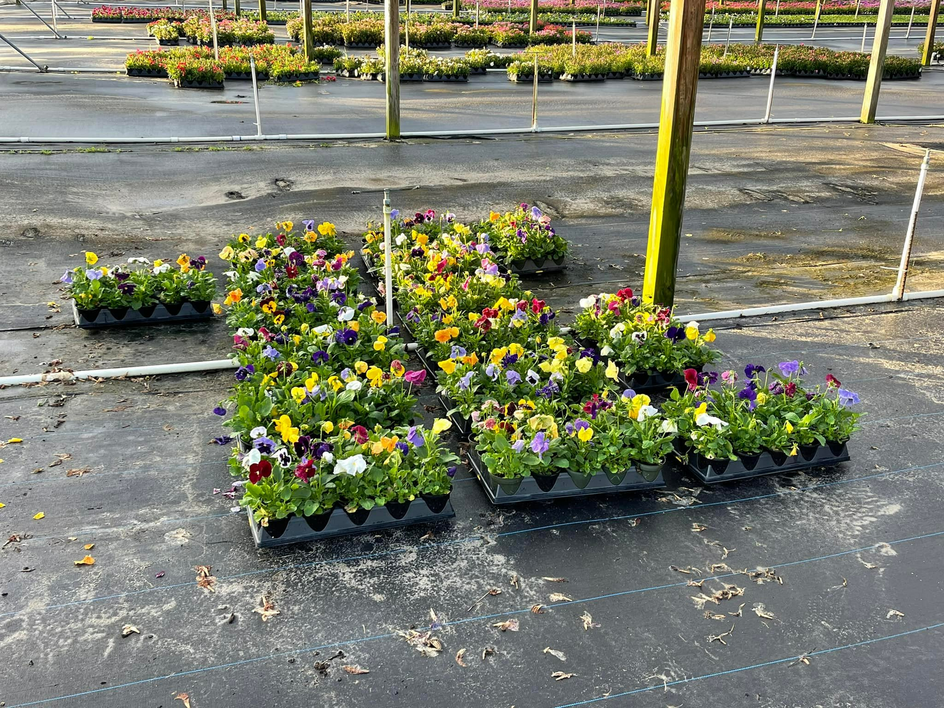 Landscaping services