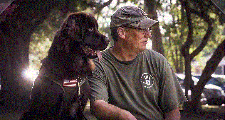 veteran with dog