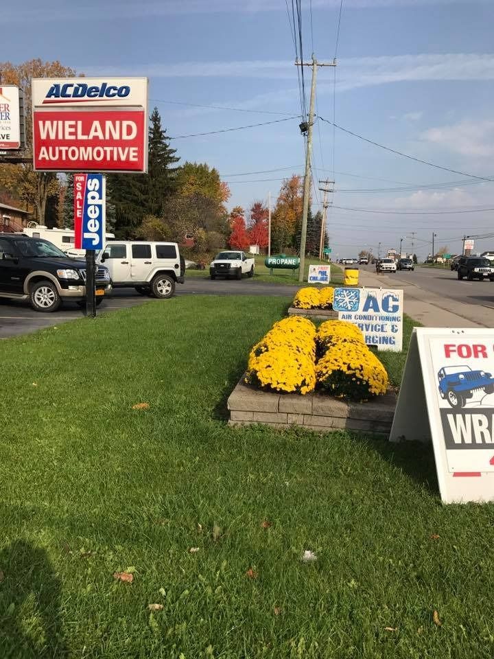 Wieland Automotive sign with vehicles on a road, yellow flowers, and a sign that says