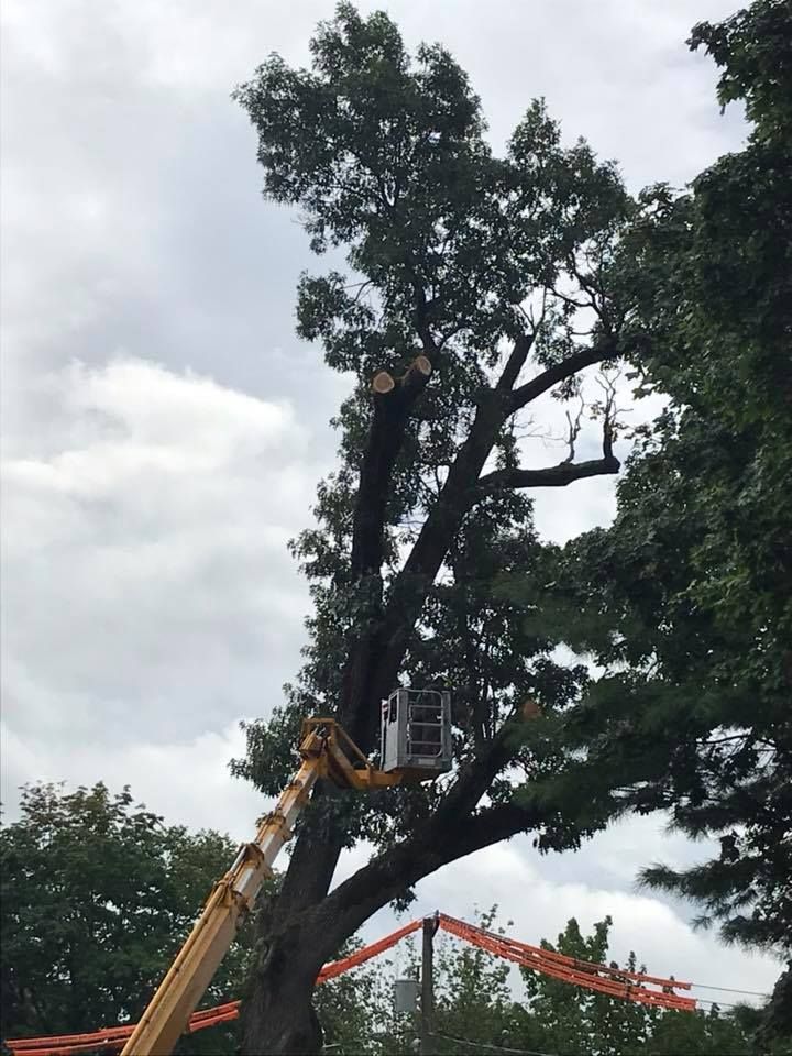 Two trucks are parked next to each other in a driveway.