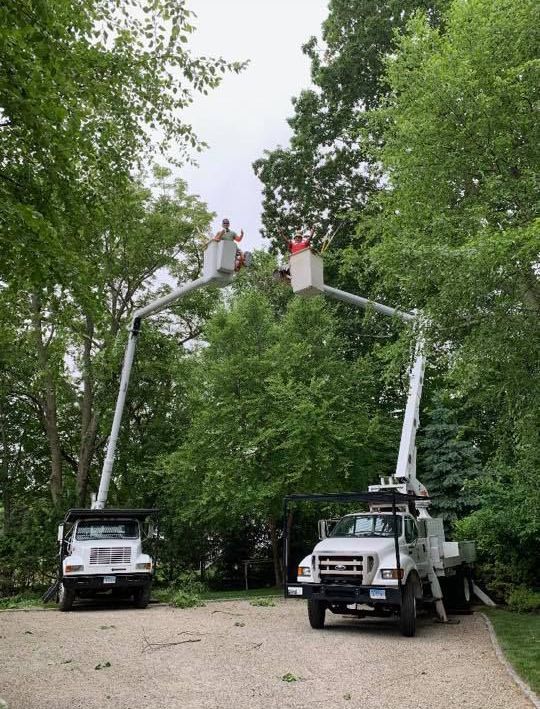 Two trucks are parked next to each other in a driveway.