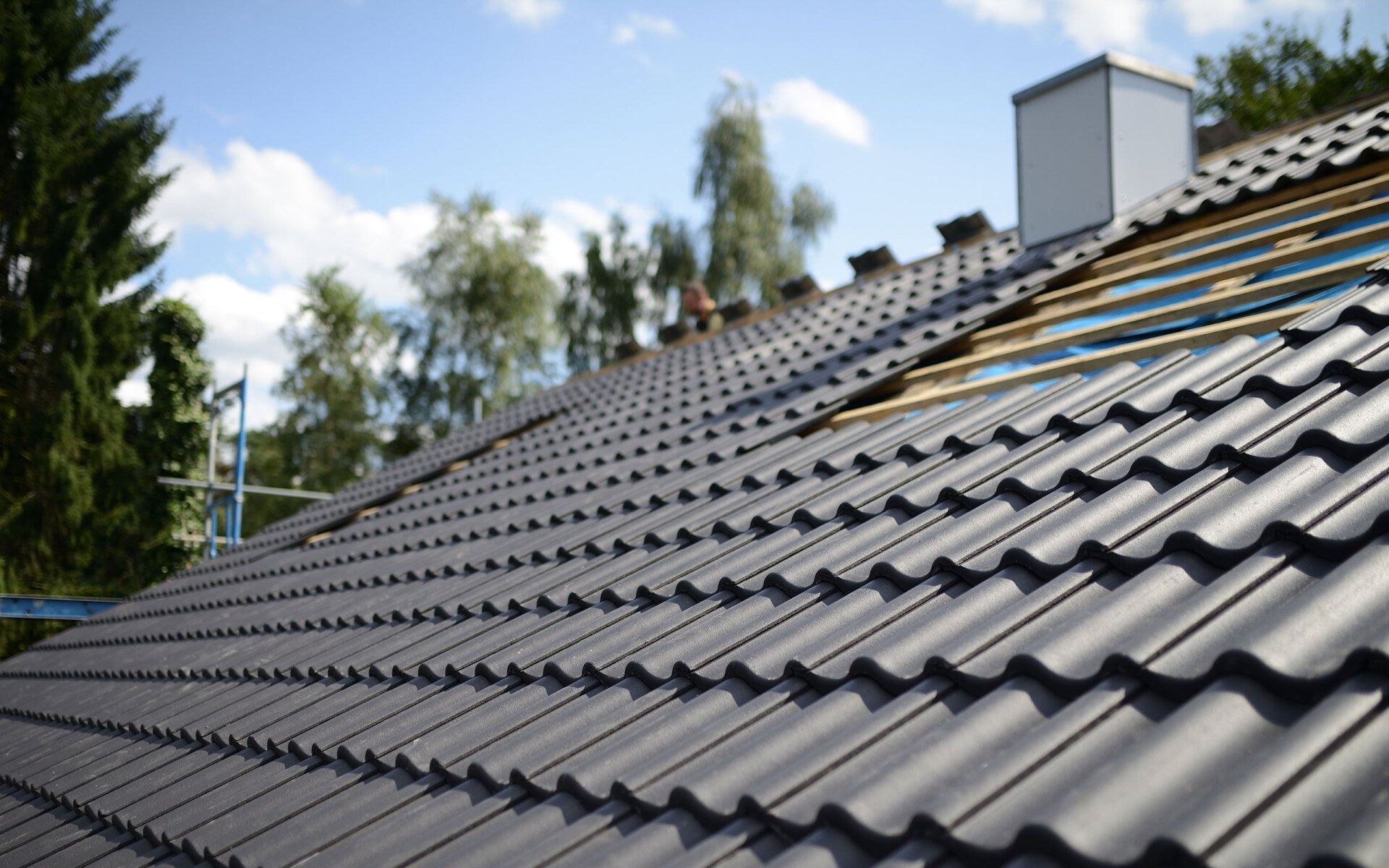 Black tiled roof with skylights against a blue sky and trees