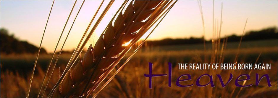 Spirit Life Ministries
