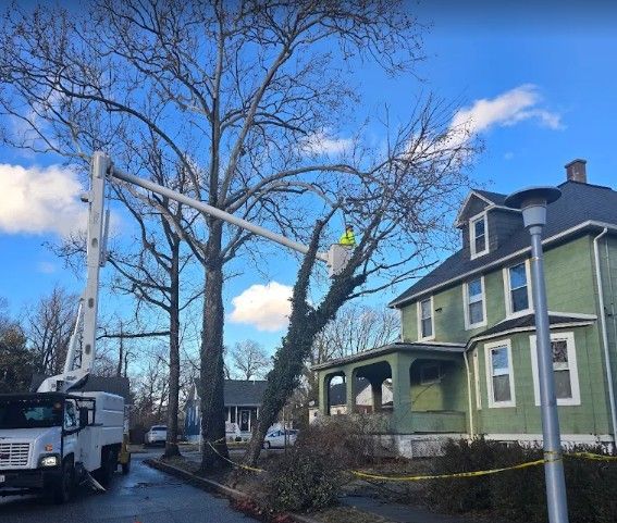 A green house beside a road, with a utility truck and cherry picker under bare trees on a sunny day
