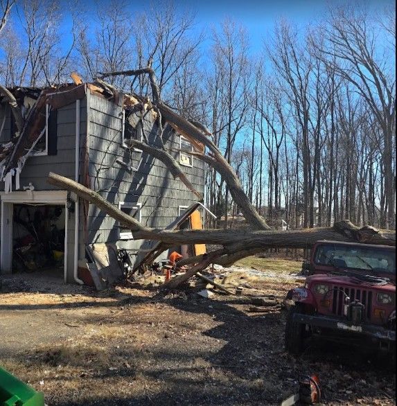 Damaged house with fallen tree limbs and a red Jeep in front, under a clear blue sky