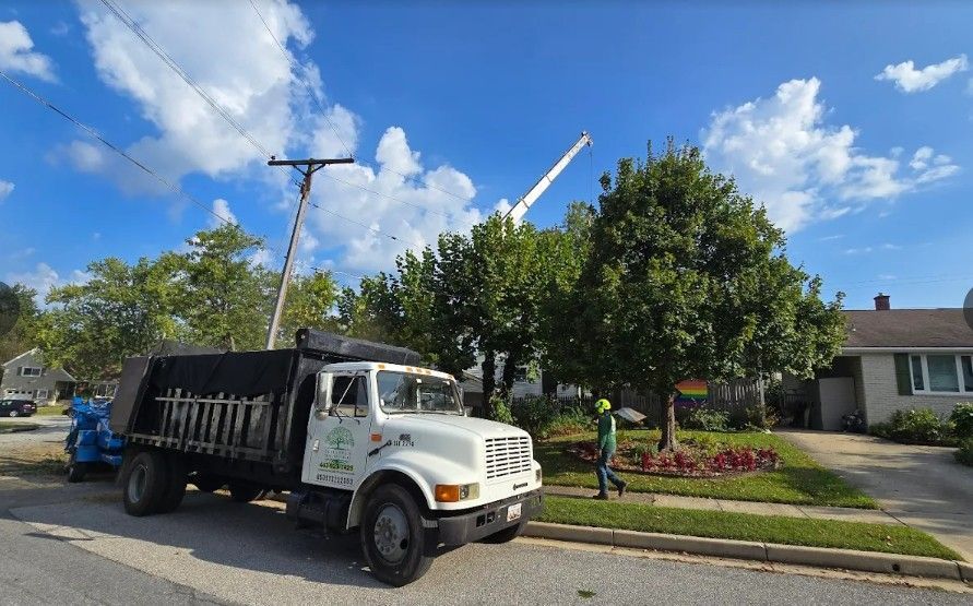 White dump truck parked by a suburban street with trees, flowers, and a house under a blue sky