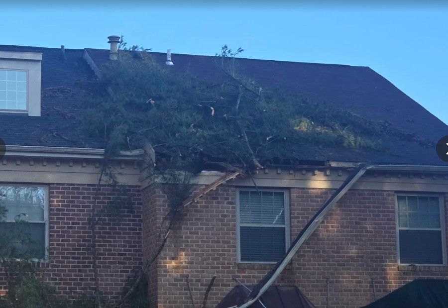 Brick house roof with a large vine or tree growing over it against a blue sky