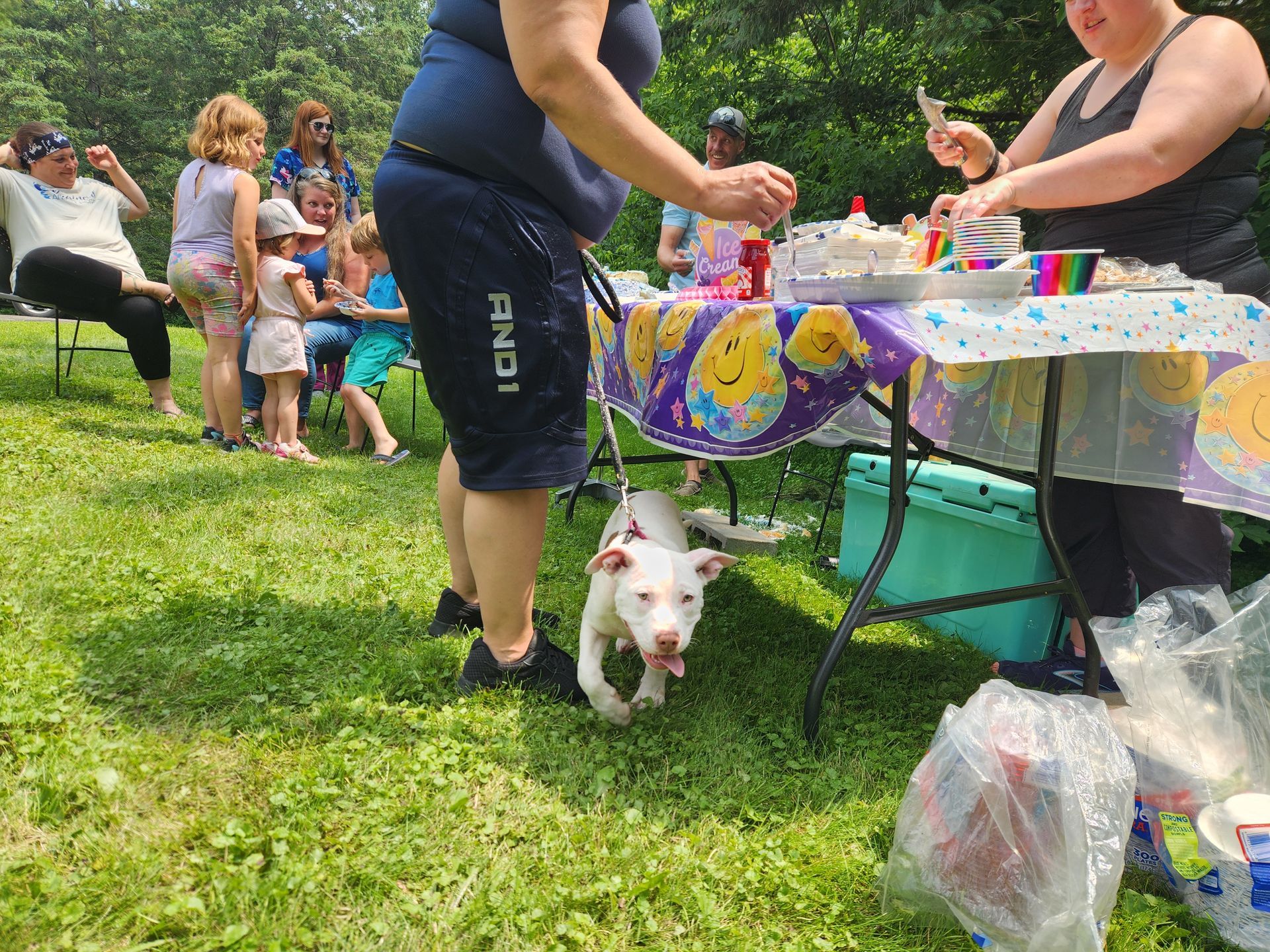 A white dog walks towards the camera at a birthday party, with people and a cake-covered table in the background.