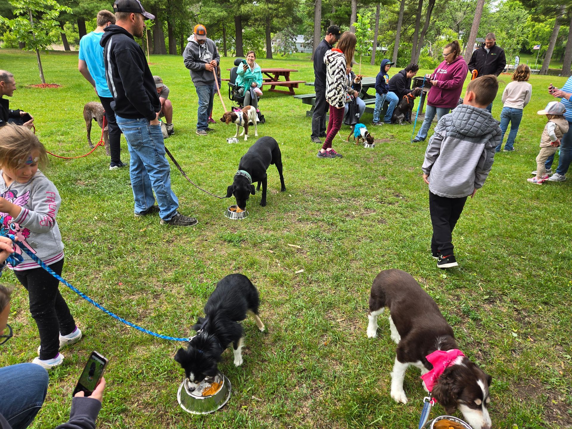 People and dogs at a park. Some dogs eat from bowls, while others are on leashes with their owners.