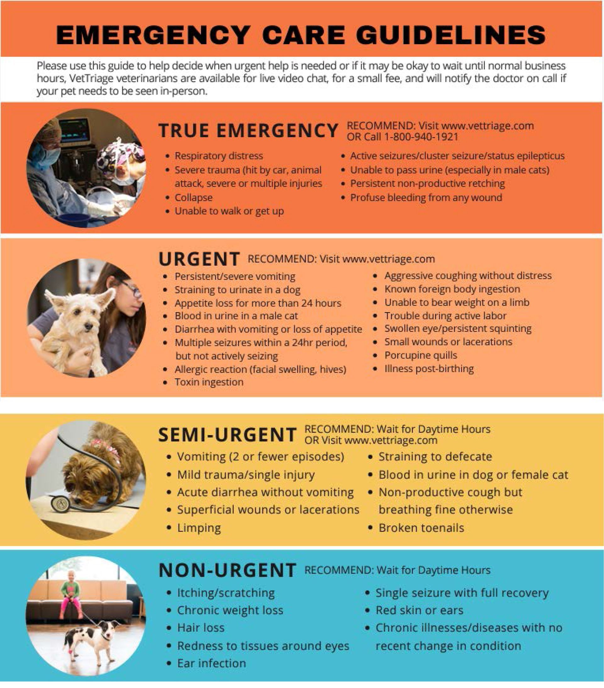 Emergency Care Guidelines