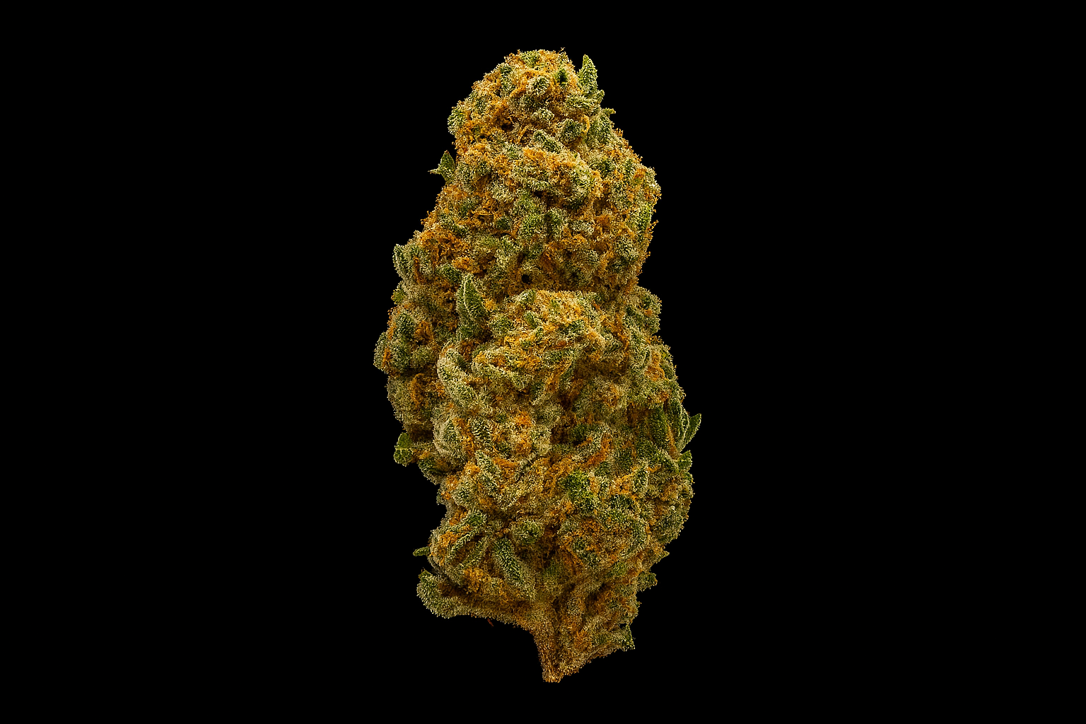 M.O.B. (Mother of Berries)