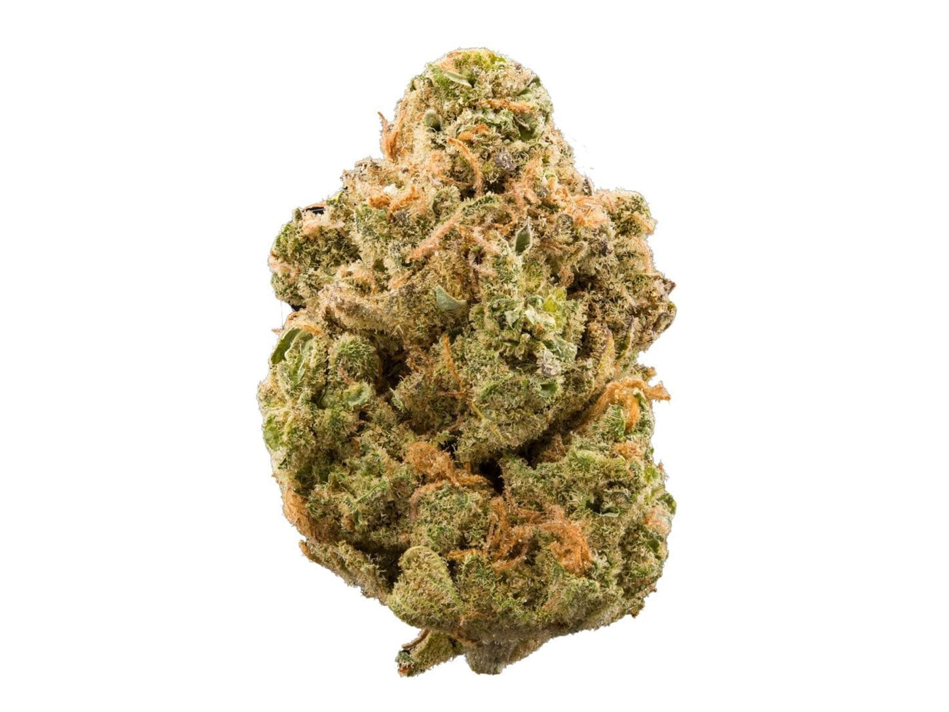 Purple Tangie