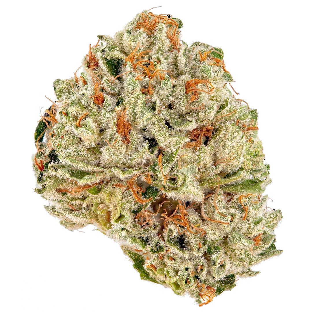 Jelly Breath