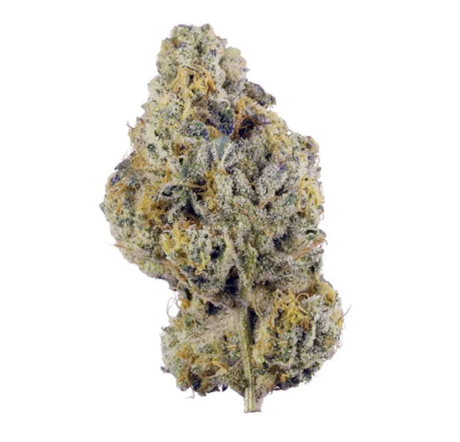 Lemon Cherry Hippie