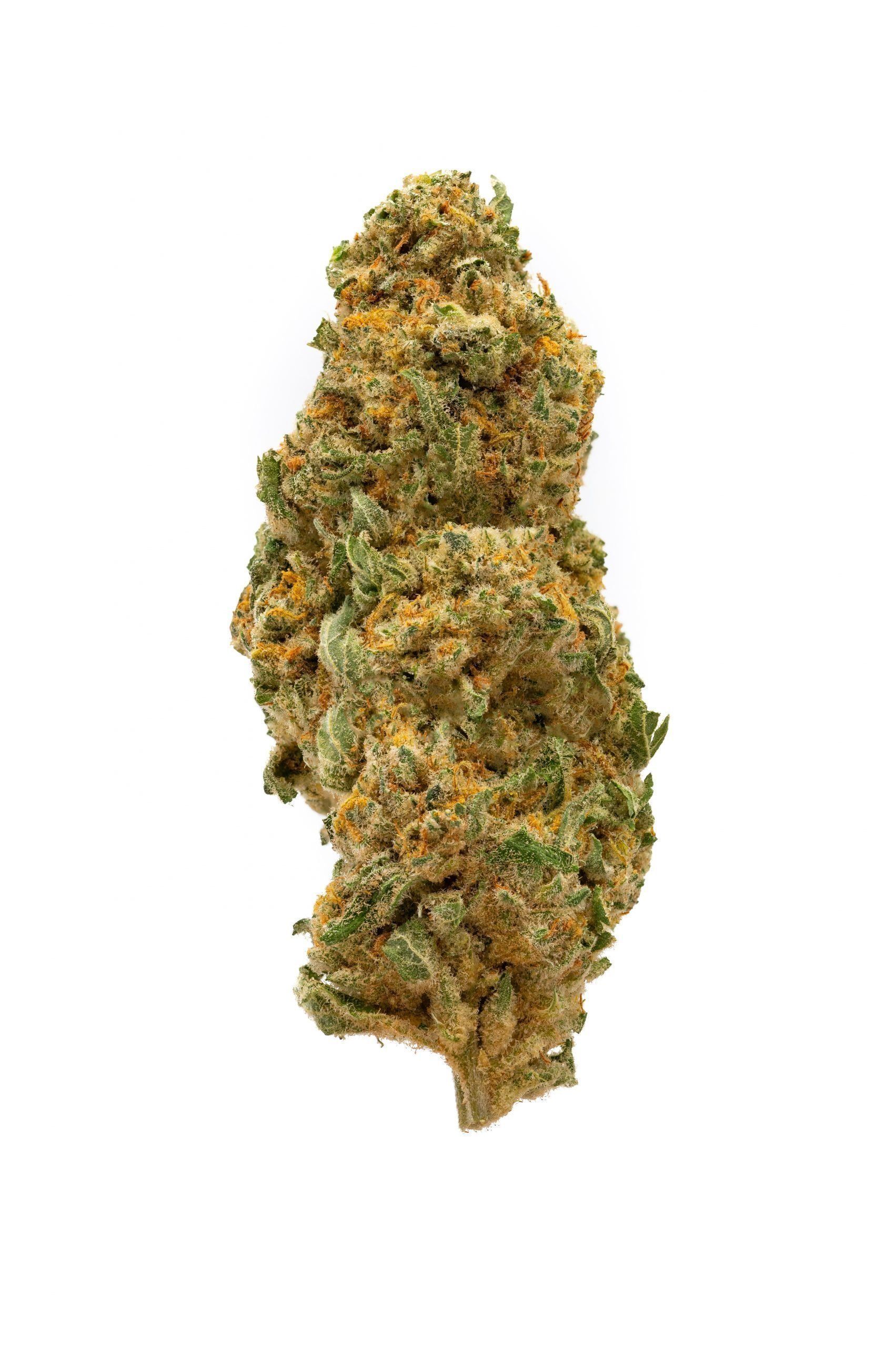 M.O.B. (Mother of Berries)
