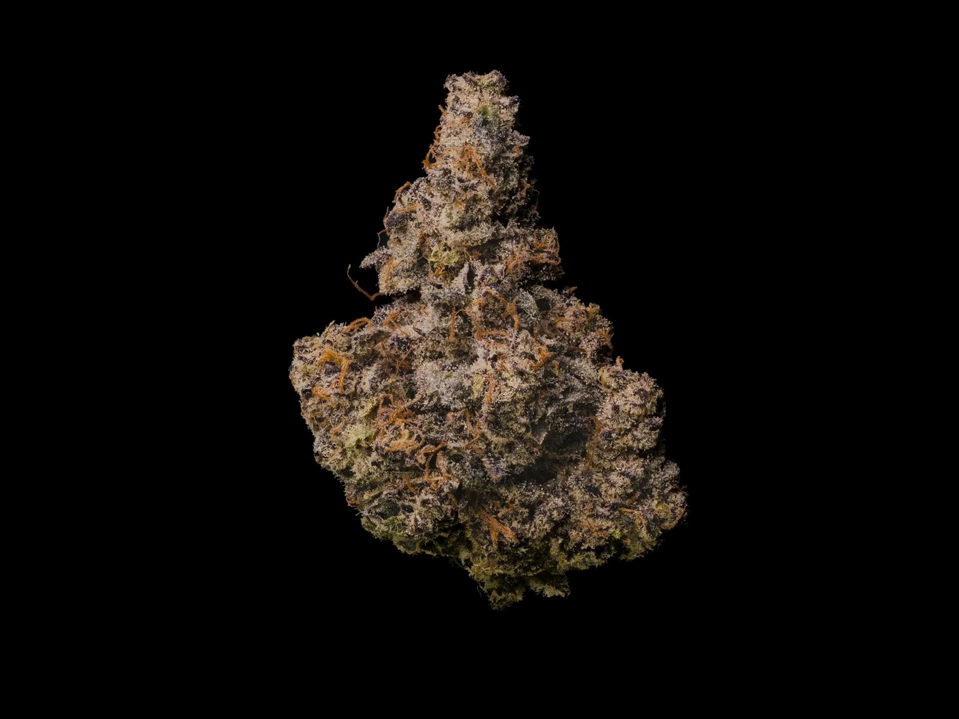 Blueberry Sugar
