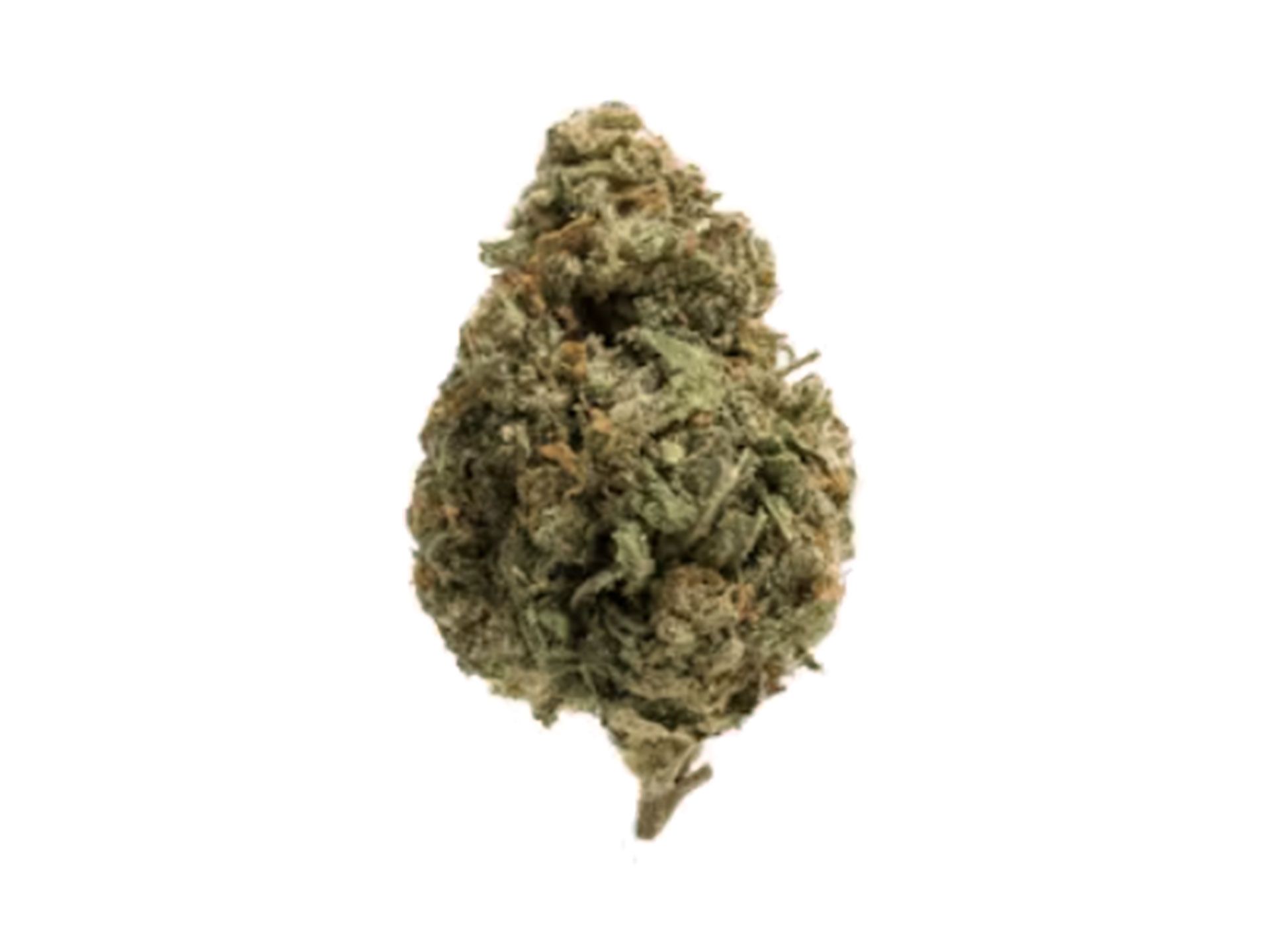 Gelato Driver