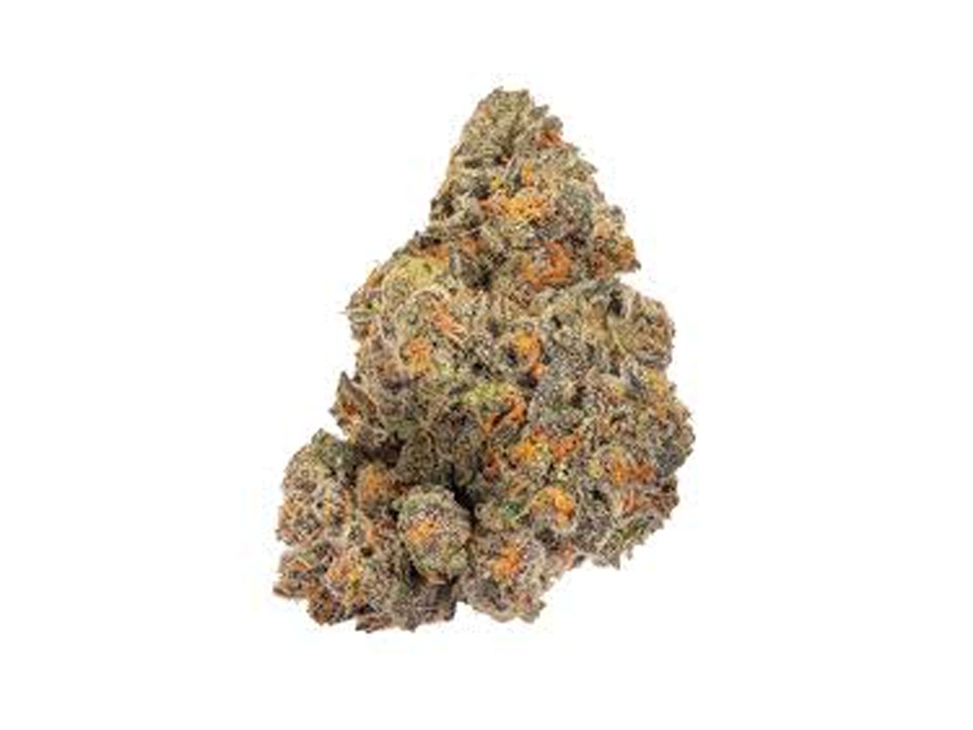Jokerz Gelato