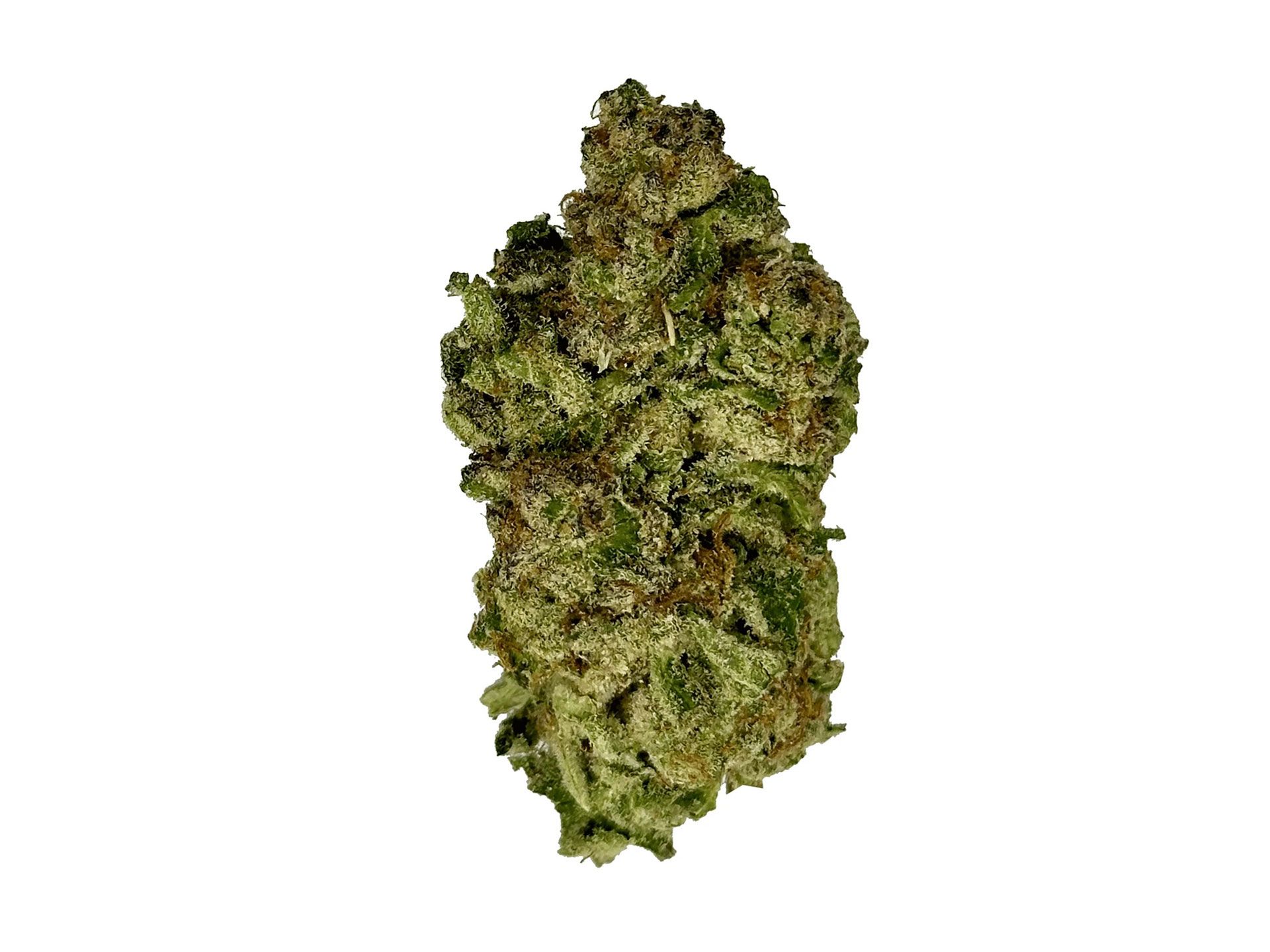 Truffle