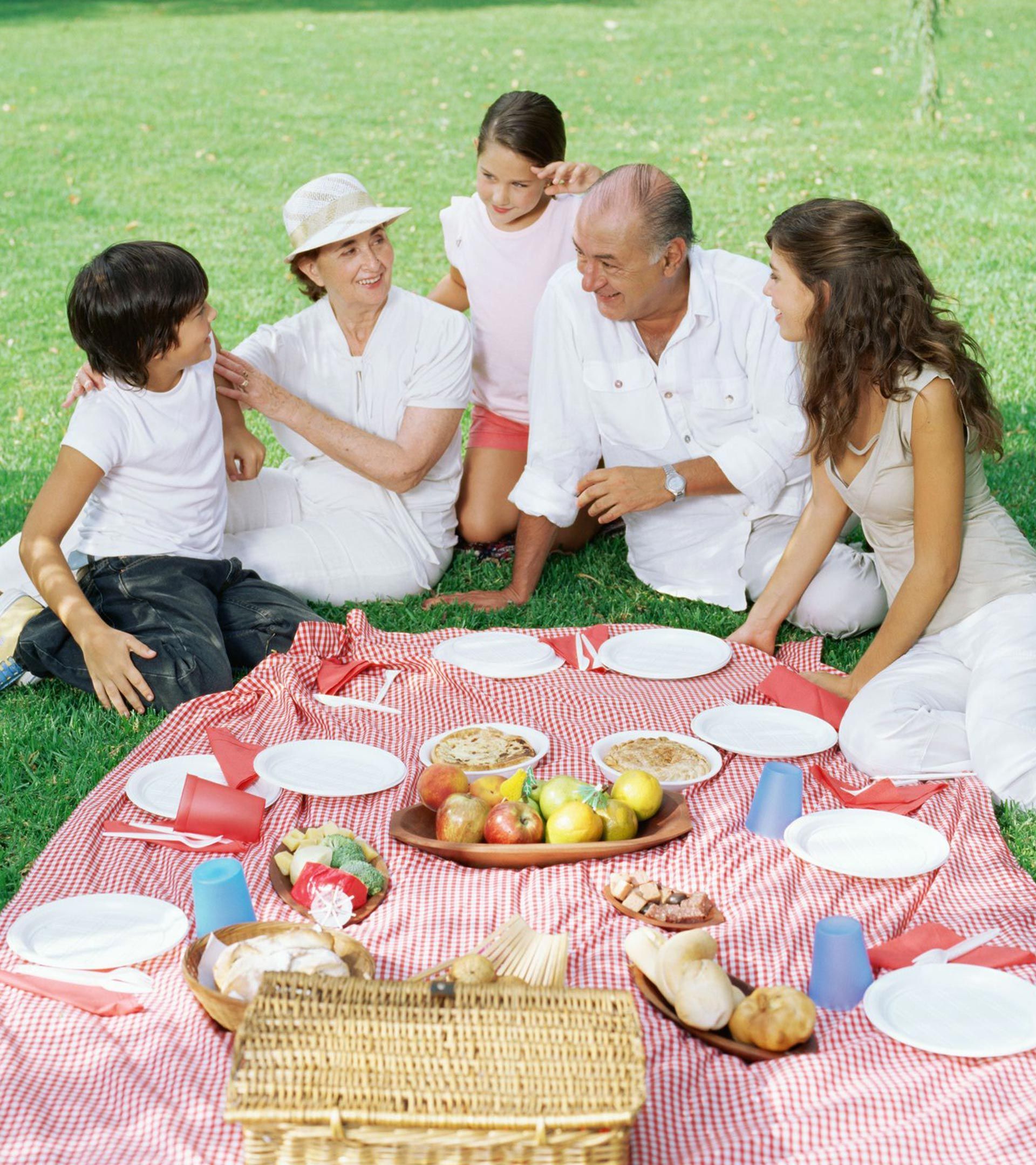 Family having a picnic outdoor
