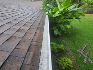 Roof with shingles, gutter, and plants along a grassy yard.