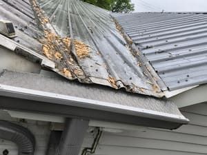 Damaged corrugated metal roof with peeling areas, overlooking a gray gutter and white siding.