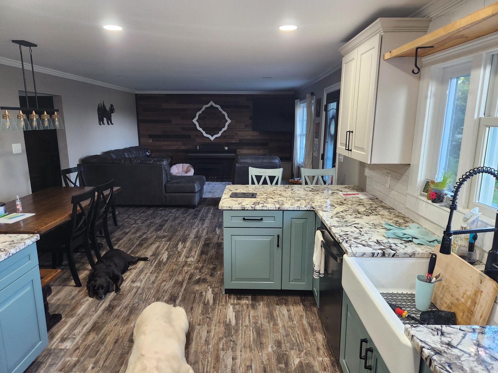 A kitchen and living room open floor plan with teal cabinets, a farmhouse sink, a dark wood feature wall, and two dogs.