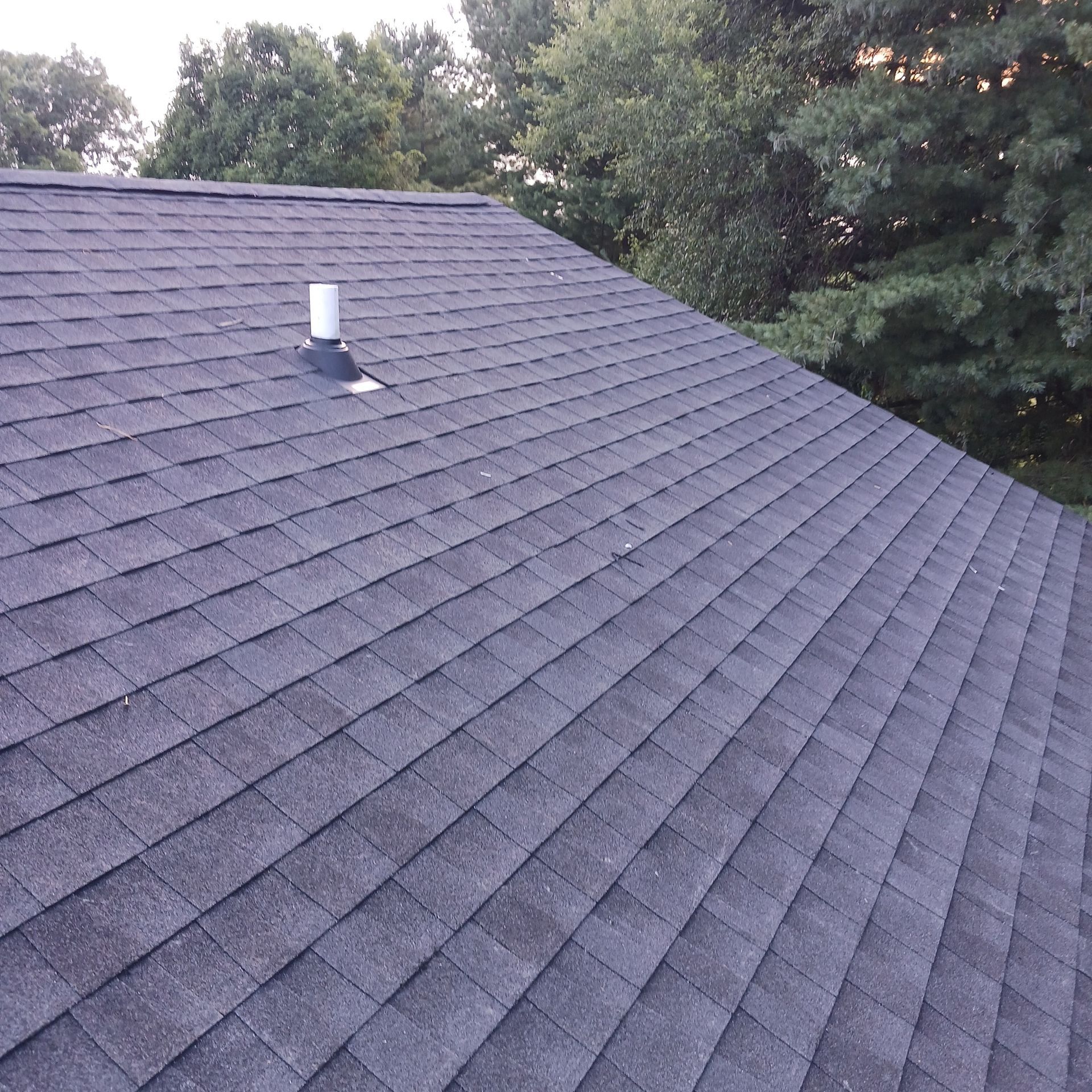A view of a shingled roof with a dark gray, textured surface and a white plumbing vent pipe, set against green trees.