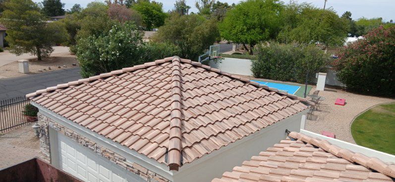 Backyard with terracotta tile roofs, trees, and a swimming pool on a sunny day