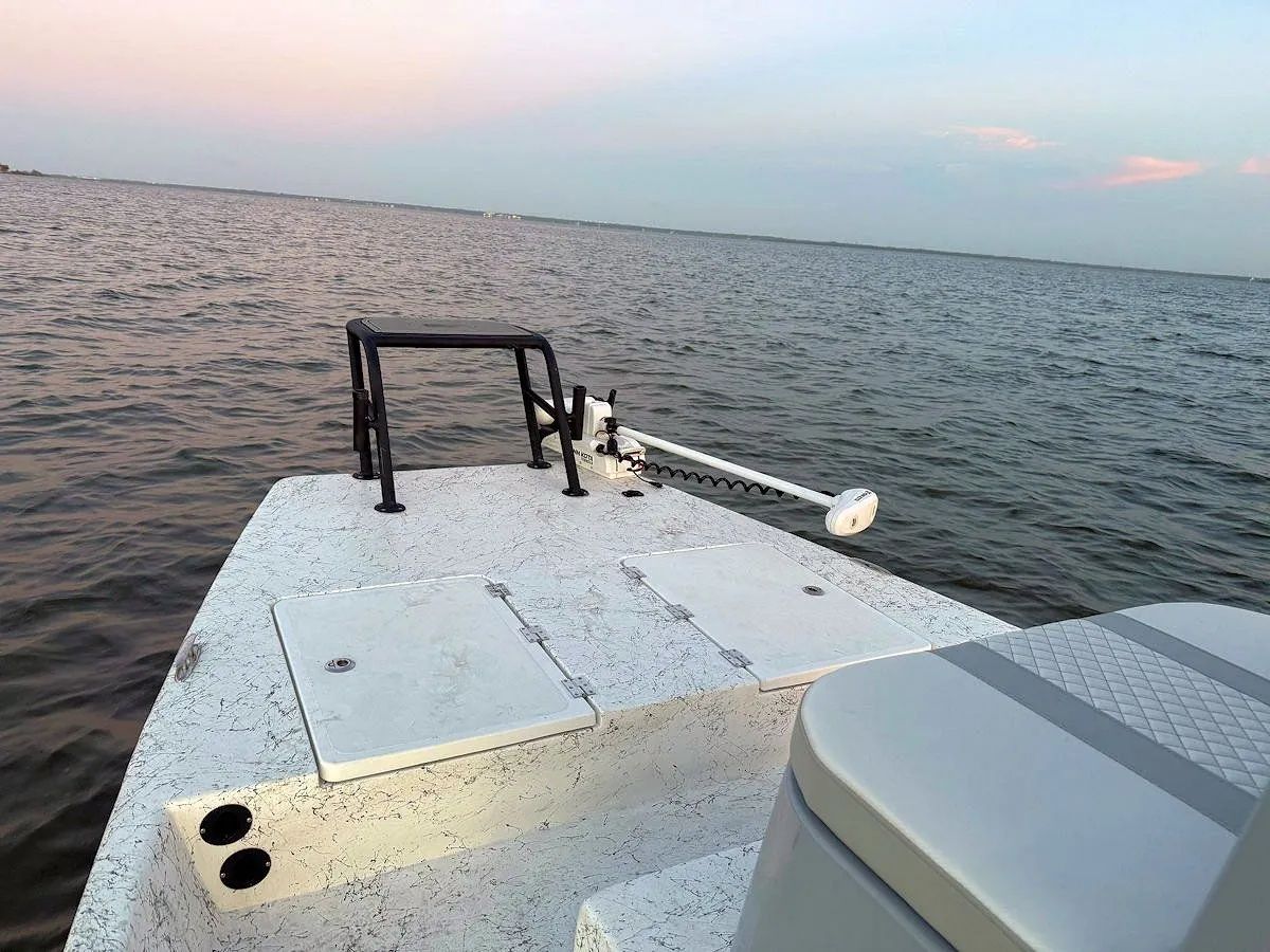 Boat deck facing open water at sunset, with a small black ladder and white railings.