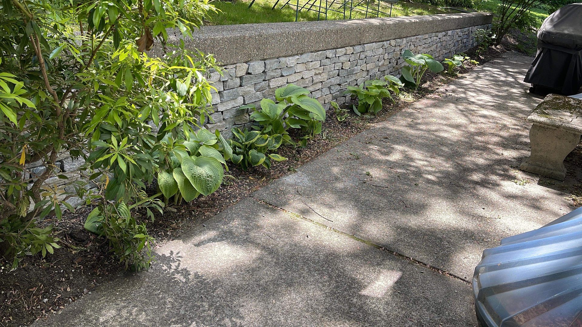 Stone wall in a garden with plants and a concrete patio.
