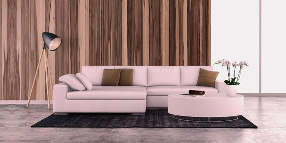 Living room furnitures