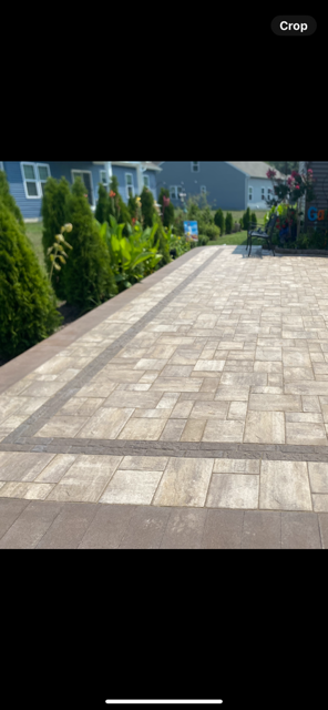 Sunlit stone-paved walkway beside evergreen shrubs and houses in a residential area