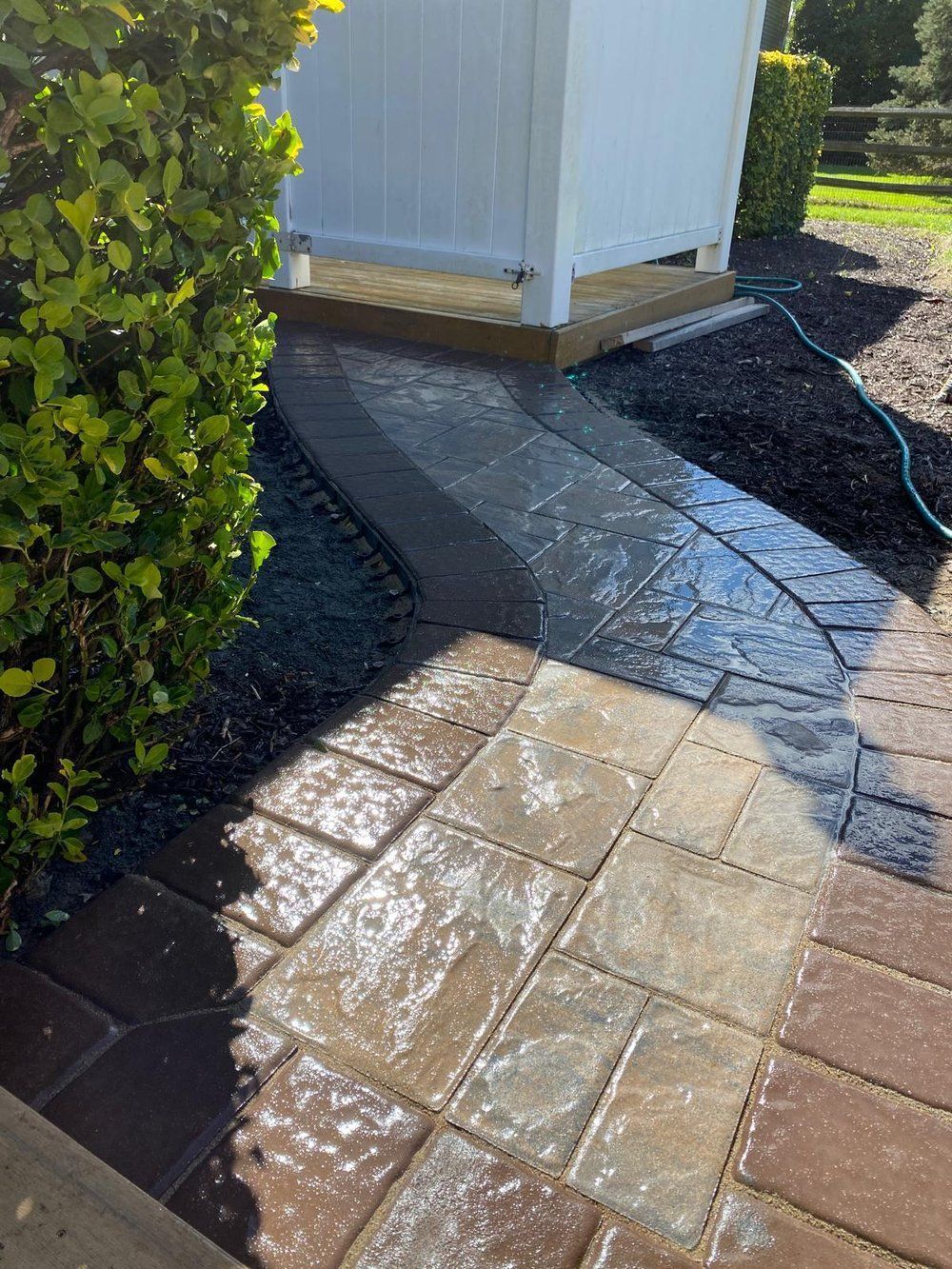 Wet paver walkway curving past a white shed, with dark mulch and green bushes along the side